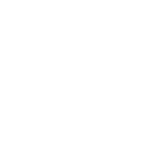 Optimize Website